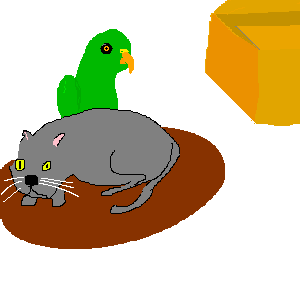kÃ¤t