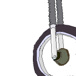v1