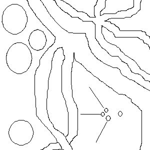 Plain