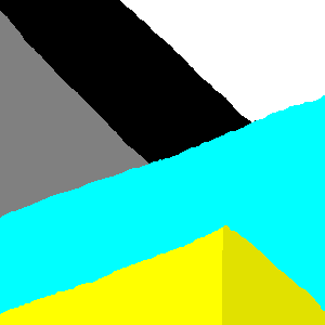 testes