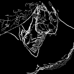 untitled drawing
