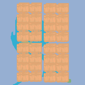 shredded wheat