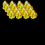 v1