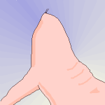 v4