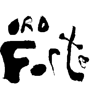 I think this say "Oro Forte"