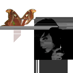 v3