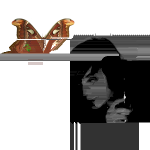 v4