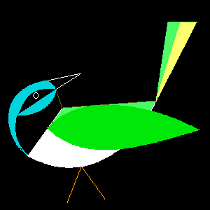 Green Jay (Cyanocorax yncas)