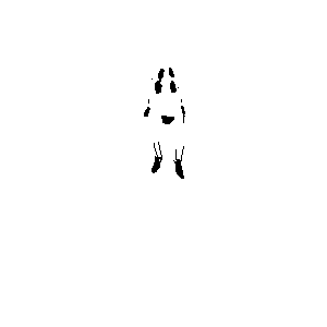 untitled drawing