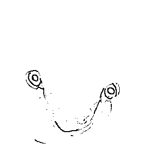 untitled drawing