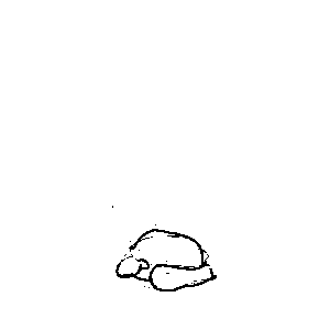 untitled drawing