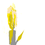 v2