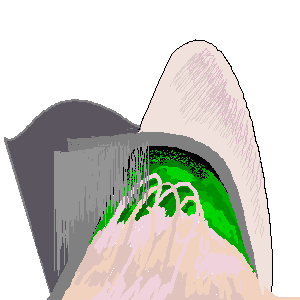 untitled drawing