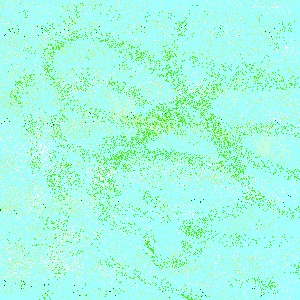 untitled drawing