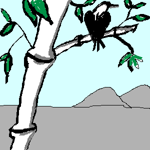 untitled drawing
