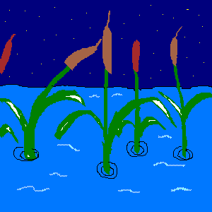untitled drawing