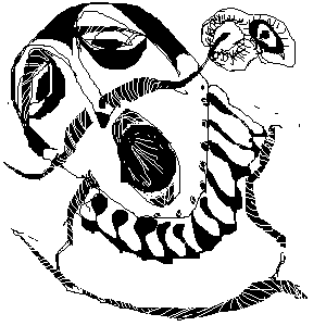 untitled drawing