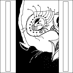 untitled drawing