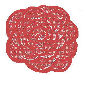 untitled drawing