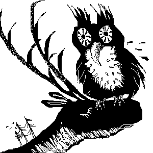 untitled drawing