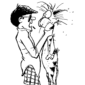 untitled drawing