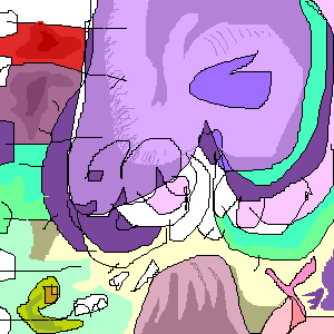 untitled drawing