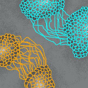 untitled drawing