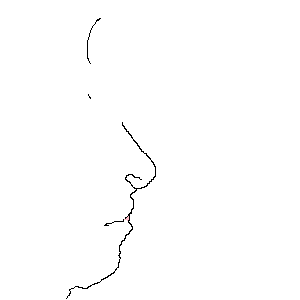 untitled drawing
