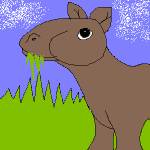 untitled drawing