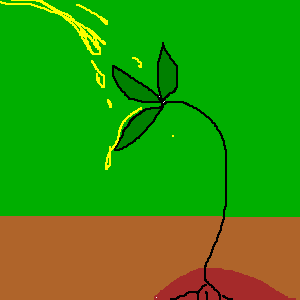 untitled drawing
