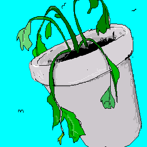 untitled drawing