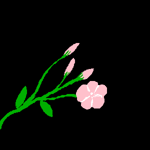 untitled drawing