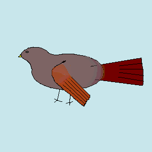 untitled drawing
