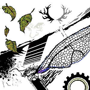untitled drawing