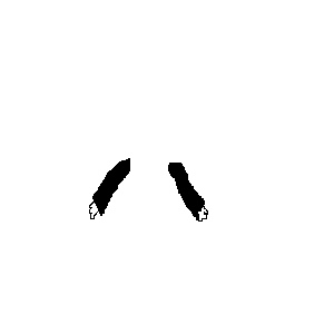 untitled drawing