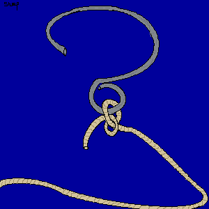 untitled drawing
