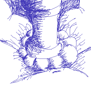 untitled drawing