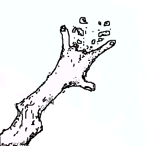 untitled drawing