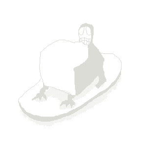 untitled drawing