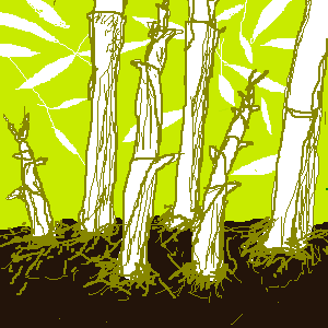 untitled drawing