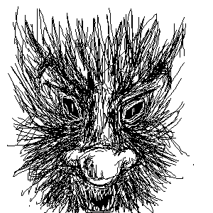 untitled drawing