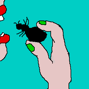 untitled drawing