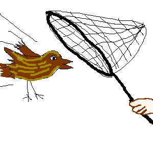 untitled drawing