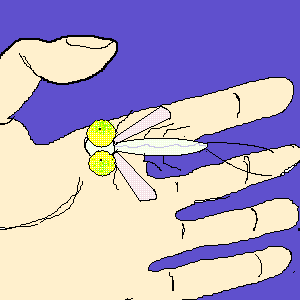 untitled drawing