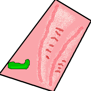 untitled drawing