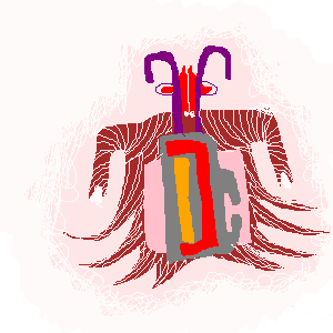 untitled drawing