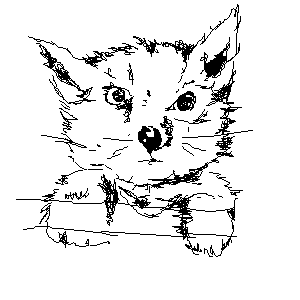 untitled drawing