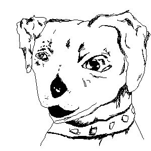 untitled drawing