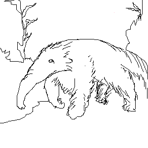 untitled drawing