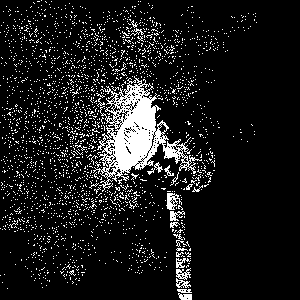 untitled drawing